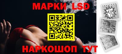 крисы Берёзовский